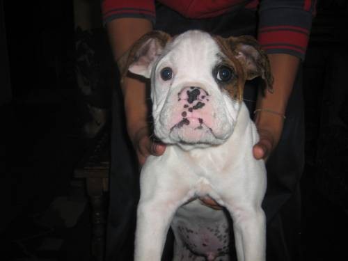 ESTA FOTITO FUE A MIS 3 MESES 